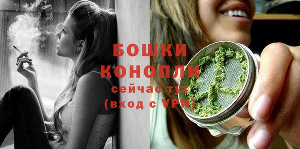 стаф Михайловск